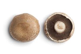 Portobello Mushroom